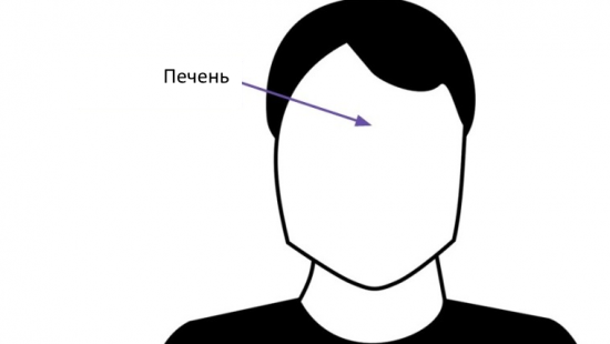 Между бровями - печень
