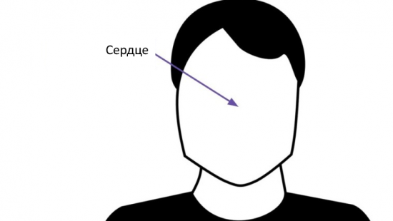 Нос - сердце