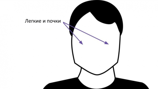 Скулы - легкие и почки