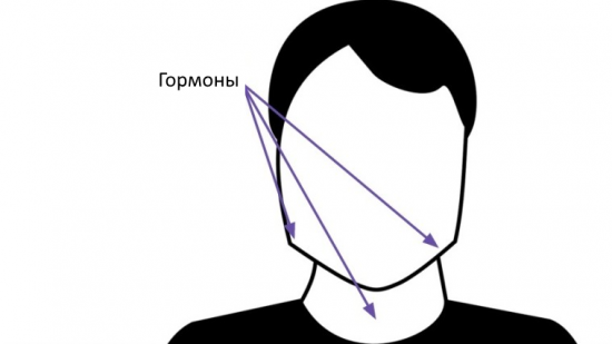 Челюсть и шея - гормоны