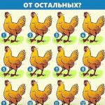 Серия загадок в картинках