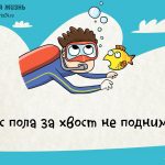 Что с пола за хвост не поднимешь и другие интересные загадки.