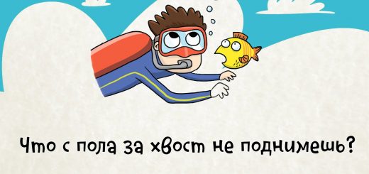 Загадка что с пола за хвост не поднимешь