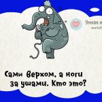 Сам верхом, а ноги за ушами. Кто это?