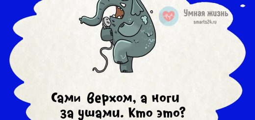 Сами верхом, а ноги за ушами. Кто это?