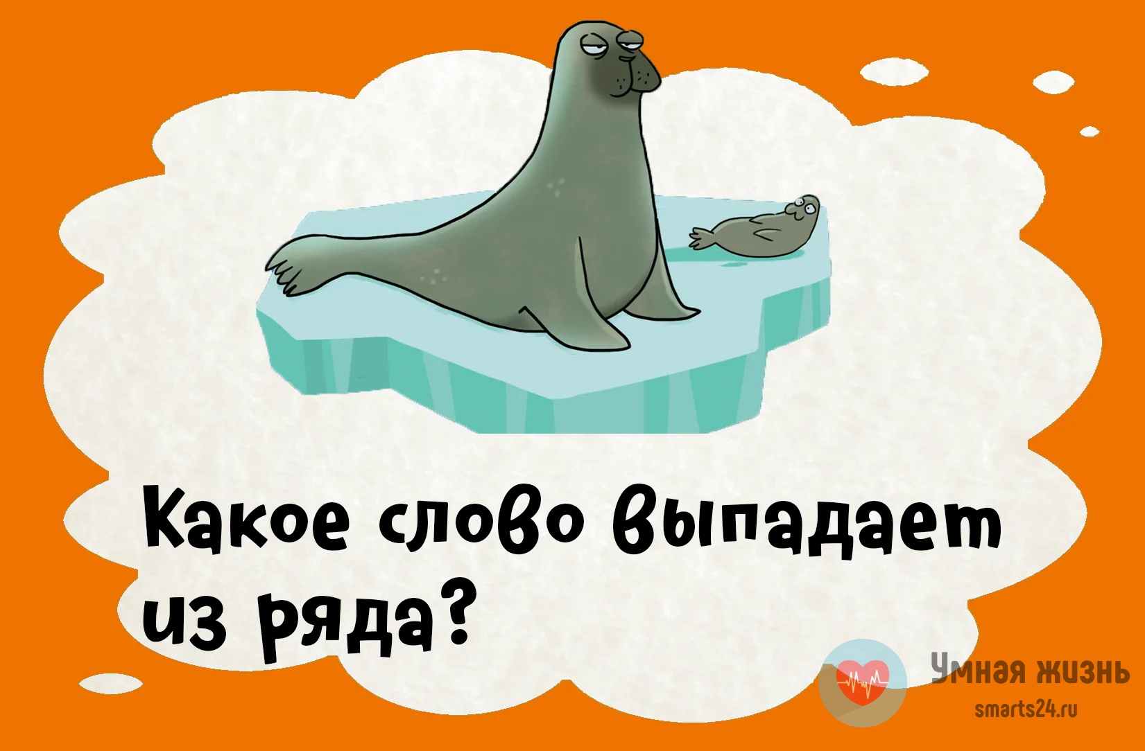 Какое слово лишнее «сельдь», «кит», «акула», «треска», «тунец», «мурена»?