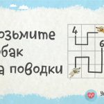 Загадка. Поводки и собаки.