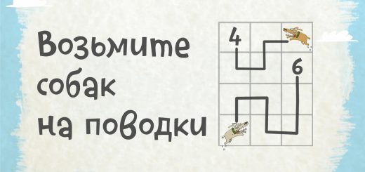 Загадка. Поводки и собаки.