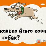Проверьте свою логику. Интересные загадки с ответами.