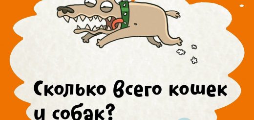 Сколько кошек и собак в доме