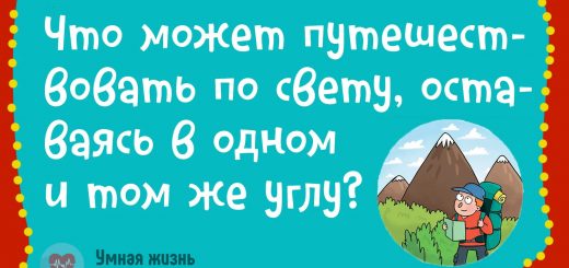 Что может путешествовать по свету, оставаясь в одном углу