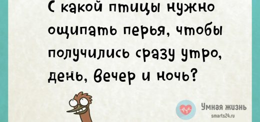 С какой птицы нужно ощипать перья