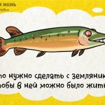 Что необходимо сделать с земляникой, чтобы в ней можно было жить.