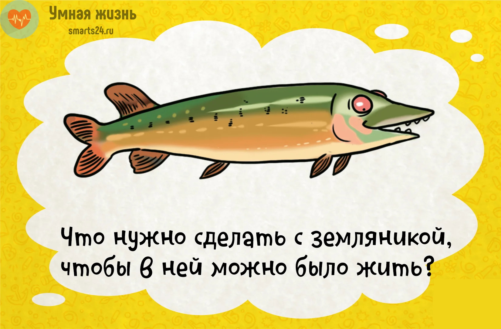 Что необходимо сделать с земляникой, чтобы в ней можно было жить