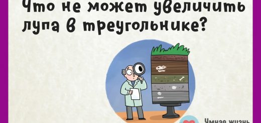 Что не может увеличить лупа в треугольнике