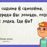 Вы сидите в самолете, впереди вас лошадь, позади лодка. Где вы?