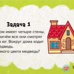 Загадка какого цвета медведь?