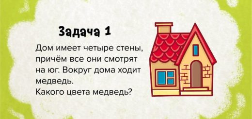 Какого цвета медведь